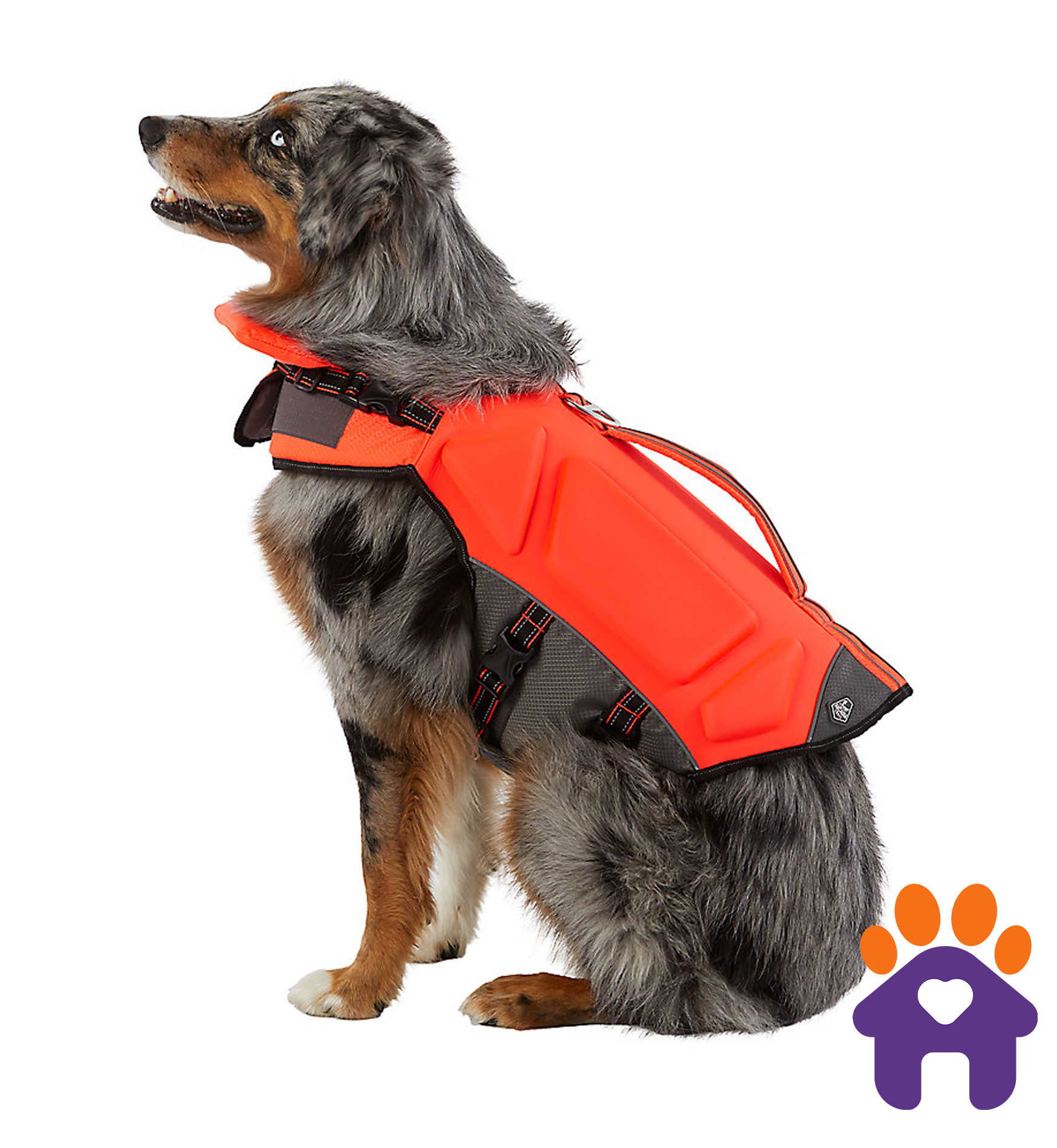 High Visibility Life Jacket